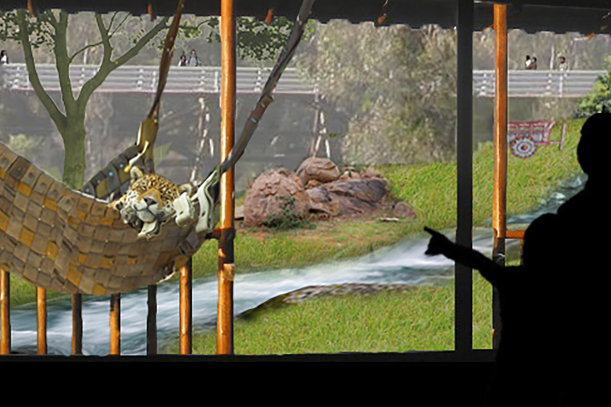 Jaguar Zoo Exhibit 01